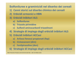 3) Erbicidi Inibitori ALS