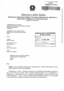 nuovo certificato veterinario per l`esportazione di cavalli da