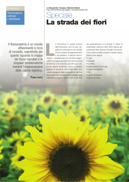 La strada dei fiori - Universit&agrave; Carlo Cattaneo