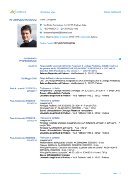 CV accademico Castagnetti formato Europass