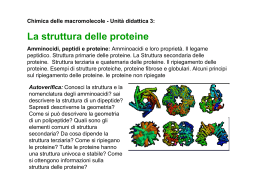 La struttura delle proteine