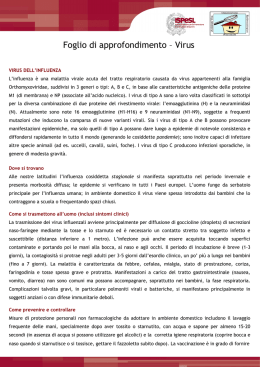 Foglio di approfondimento – Virus