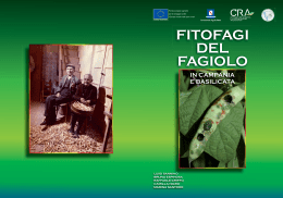 fitofagi del fagiolo - Regione Campania Assessorato Agricoltura
