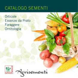 Sementi Orticole - AGRISEMENTI LEBBIOLI srl