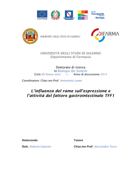 tesi R. Esposito - Universit&agrave; degli Studi di Salerno