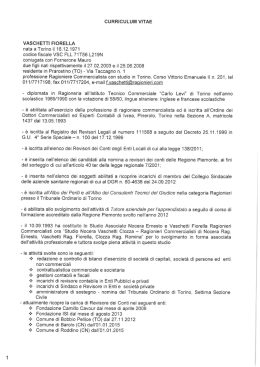 curriculum vitae