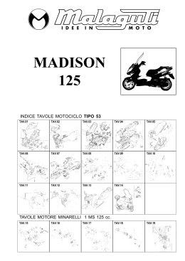 Scooter MADISON 125 TAV.