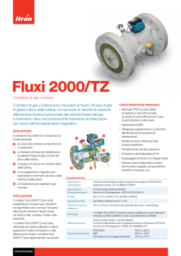 Fluxi 2000/TZ