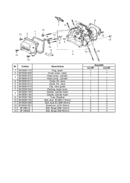 Esploso motore 5,5 e 6,5HP