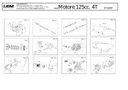 mod.Motore 125cc. 4T 01/12/2007 - HGS