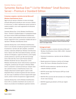 Symantec Backup Exec&trade; 11d for Windows&reg; Small Business Server