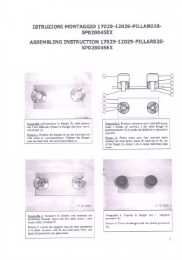 ISTRUZIONI MONTAGGIO 17029-12029