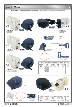 motori domestici - Ditta B. Anichini Srl