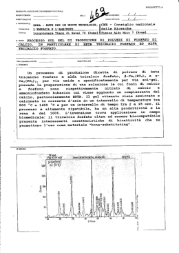 Testo depositato - 469_tbi