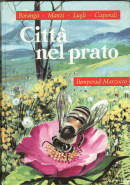 parte I - Centro Alberto Manzi