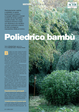 Poliedrico bambù - Il Verde Editoriale