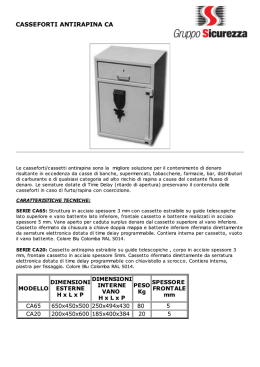 Scheda tecnica - Mancini Sicurezza