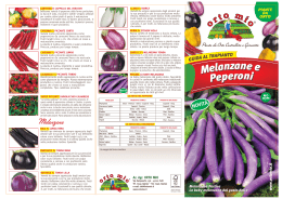 Melanzane e Peperoni Melanzane e Peperoni