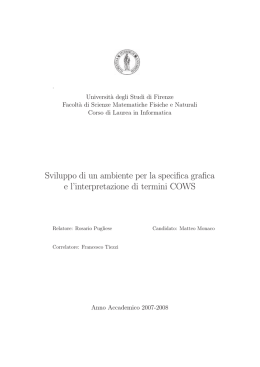 Sviluppo di un ambiente per la specifica grafica e l`interpretazione di
