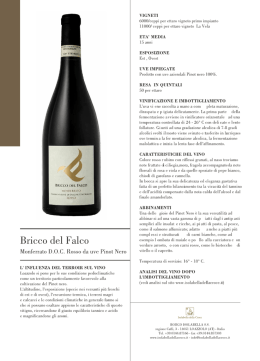 Bricco del Falco - Isolabella della Croce