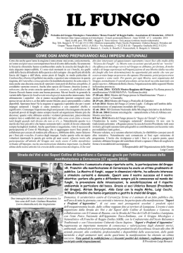 Il Fungo 2_14 - Comune di Reggio Emilia