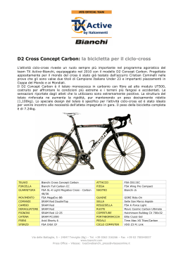D2 Cross Concept Carbon: la bicicletta per il ciclo-cross