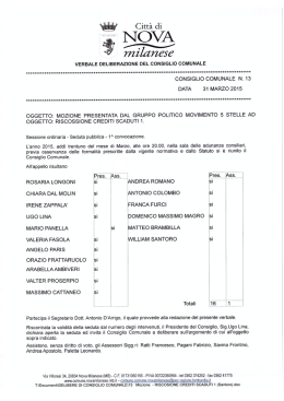 Delibera di Consiglio Comunale numero 13 del 31 Marzo 2015