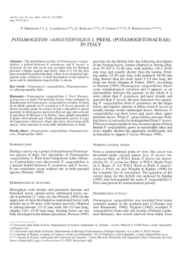 Apri pdf - Società Toscana di Scienze Naturali