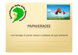 PAPAVERACEE - Museo Botanico UNIVPM