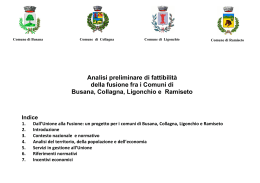 Analisi preliminare di fattibilità della fusione fra i Comuni di Busana