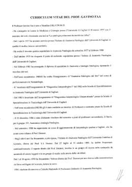 Curriculum Vitae [file]