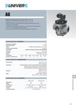 Valvole ad otturatore per vuoto G1/8 &divide; G1 1/2