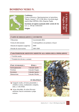 CRSA-Regione Puglia D205 - Registro Nazionale delle Varietà di Vite