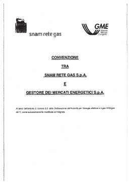 allegato delibera ARG/gas 182 - Autorità per l`energia elettrica e il gas