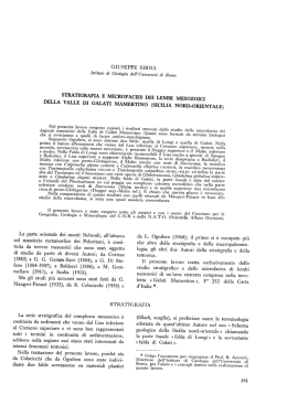 Sirna G. - Stratigrafia e microfacies dei lbbi mesozoici della valle di