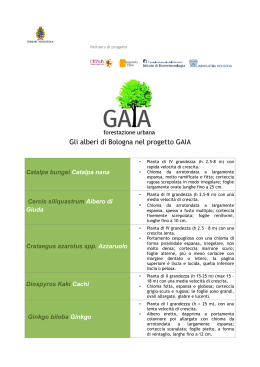 Gli alberi di Bologna nel progetto GAIA