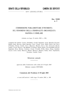 Relazione annuale - Introduzione e Capitolo 1