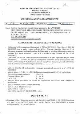 determina dirigenziale 383 del 2014