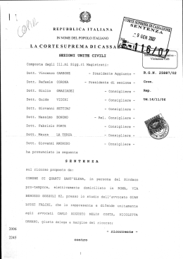 Sentenza Cassazione 116/07 su Strisce Blu