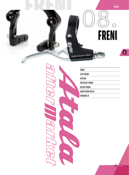 FRENI LEVE FRENO PATTINI PASTIGLIE FRENO DISCHI