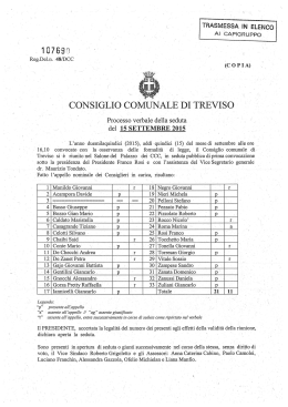 CONSIGLIO COMUNALE DI TREVISO