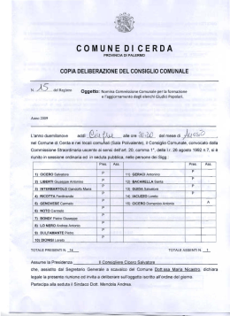 DC_15 - Comune di Cerda