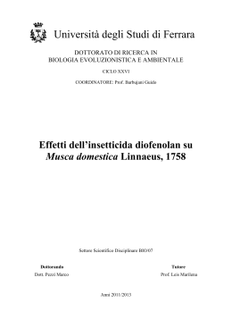 1. introduzione - Università degli Studi di Ferrara