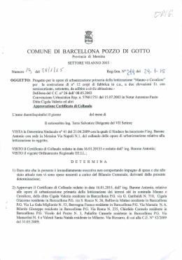 determina dirigenziale 219 del 2015