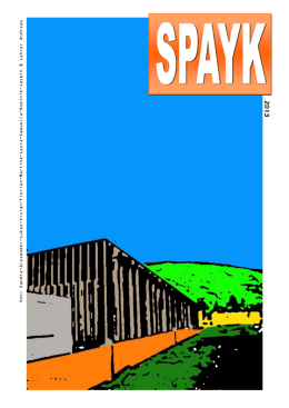 Spayk_2013