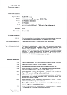 CURRICULUM PROFESSIONALE