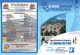 Registro Aziende Gemona del Friuli Edizione 2011