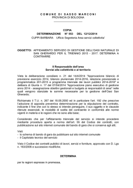 copia determinazione n&deg; 553 del
