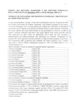 verbale consiglio 2013