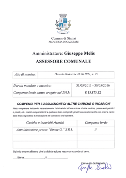 Amministratore: Giuseppe Melis ASSESSORE